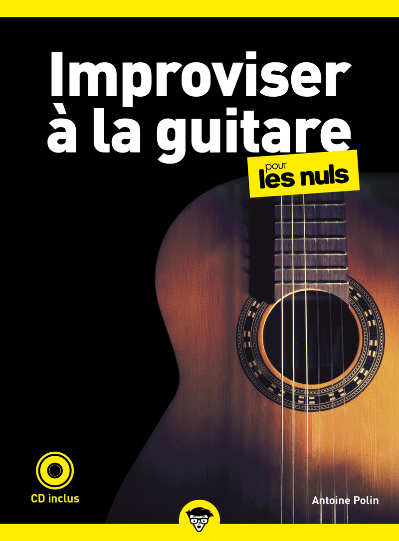 LA GUITARE POUR les Nuls livre + 2 cd EUR 10,00 - PicClick FR