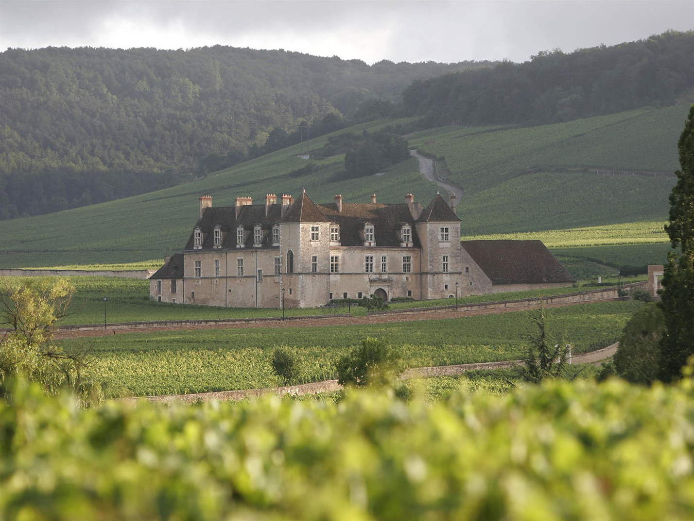 le Château du Clos de Vougeot