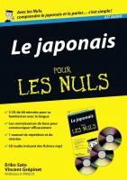 Kit audio japonais pour les Nuls