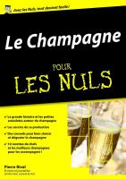 Le Champagne pour les Nuls, édition mégapoche