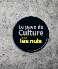 Le Pavé de culture pour les Nuls