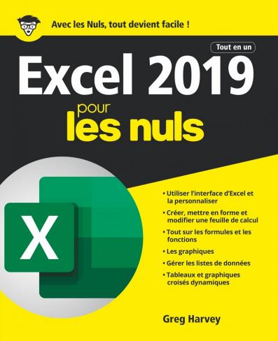 Excel 2019 Tout en 1 pour les Nuls, grand format